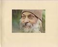 Thumbnail for File:Bhagwan Shree Rajneesh Diary 1980 (large) - p.XI.jpg